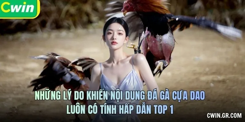 Những lý do khiến nội dung đá gà cựa dao luôn có tính hấp dẫn top 1
