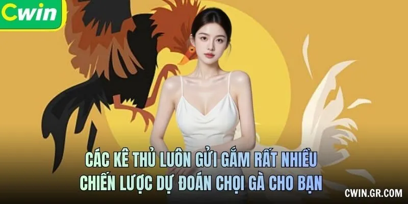 Các kê thủ luôn gửi gắm rất nhiều chiến lược dự đoán chọi gà cho bạn