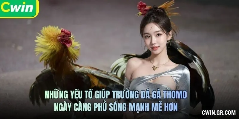 Những yếu tố giúp trường đá gà Thomo ngày càng phủ sóng mạnh mẽ hơn